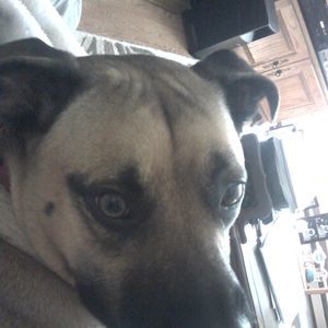 Meet your Posher, Darlene